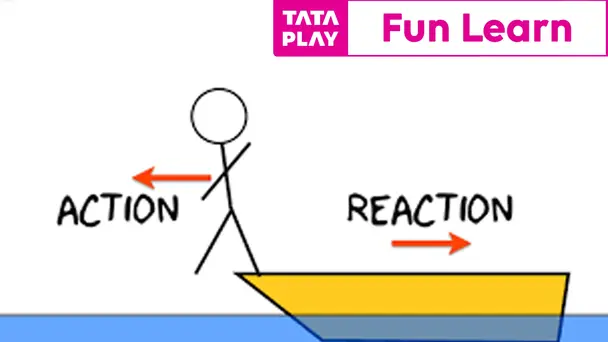 Action & Reaction